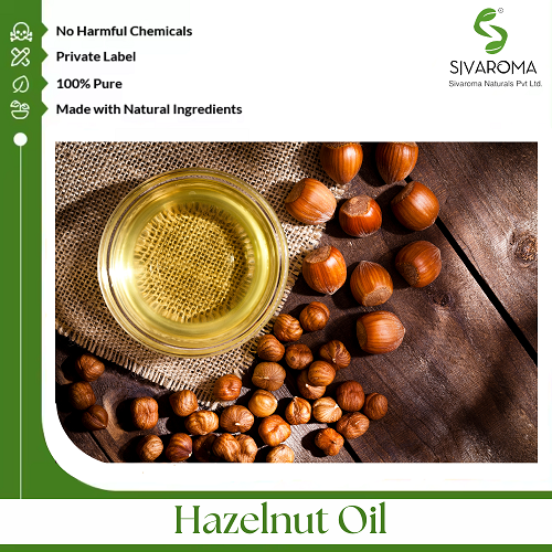 Hazelnut Oil