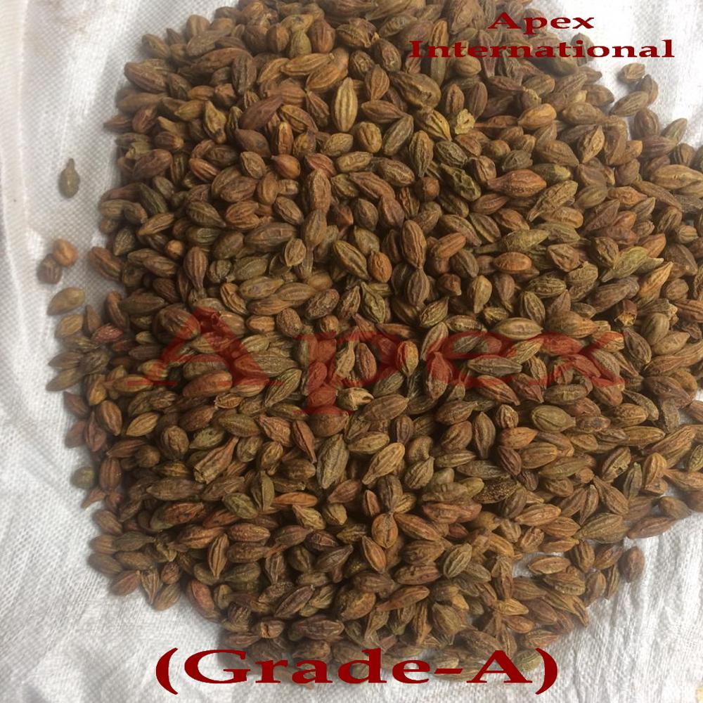 Terminalia Chebula Yellow