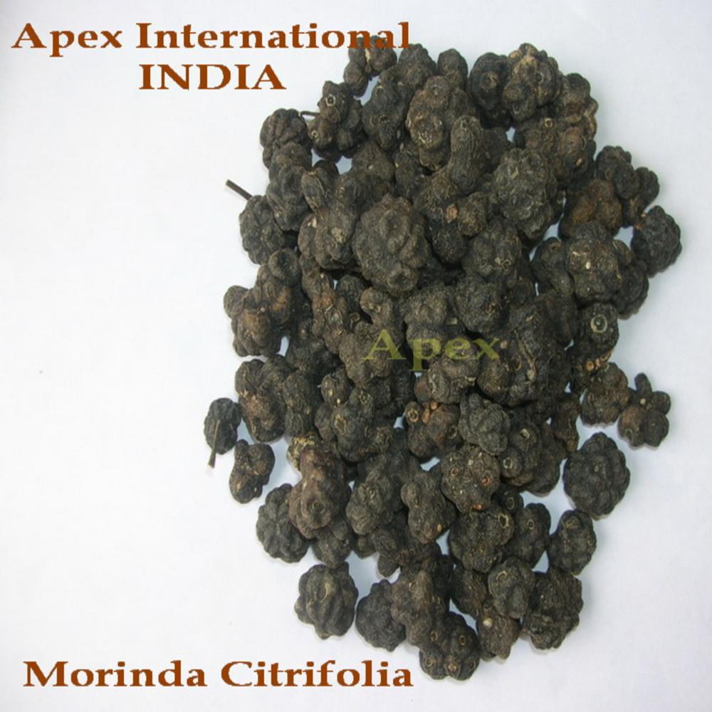 Morinda Citrifolia Noni Fruit - Color: Black