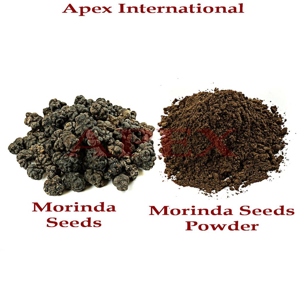 Morinda Citrifolia Noni Fruit