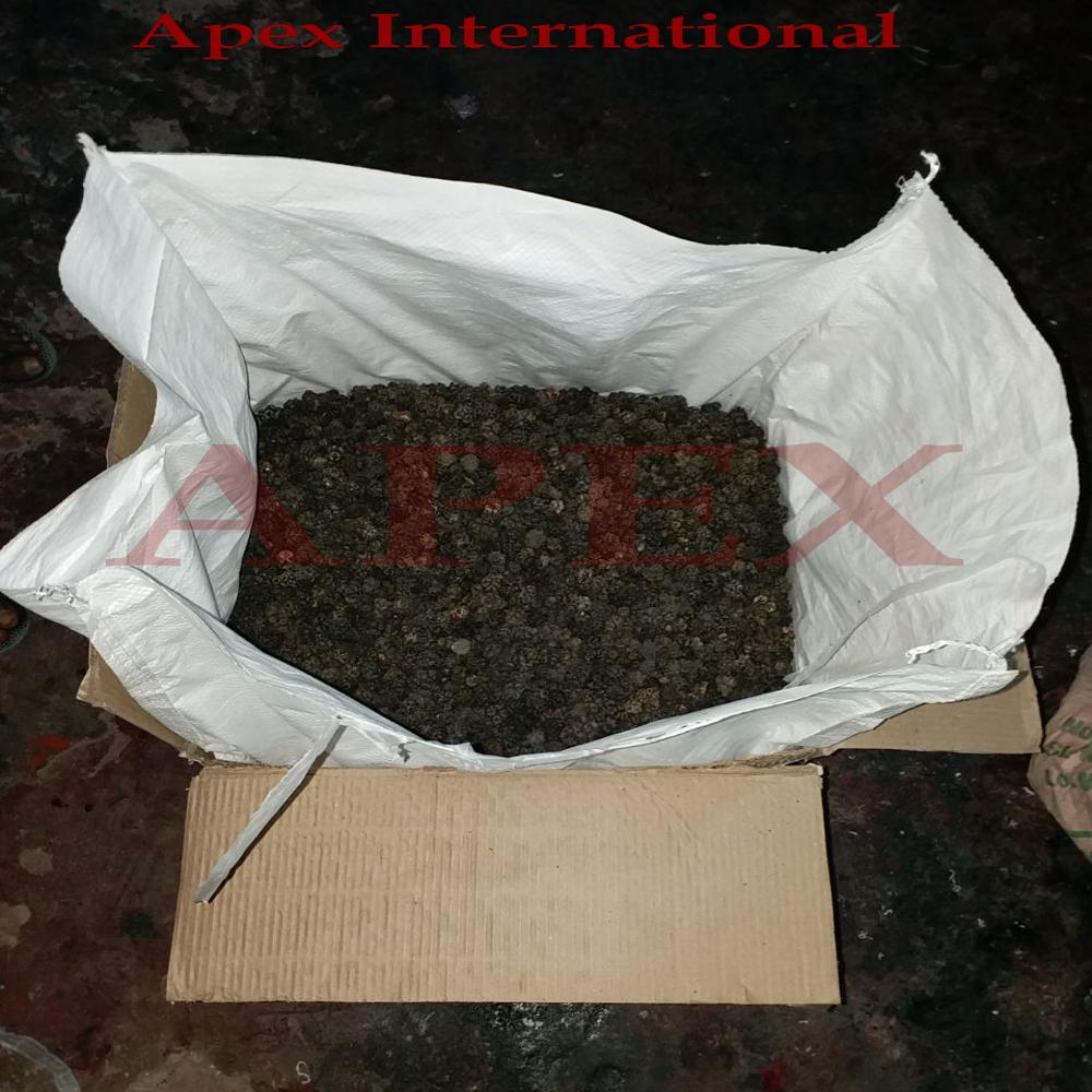 Morinda Citrifolia Noni Fruit