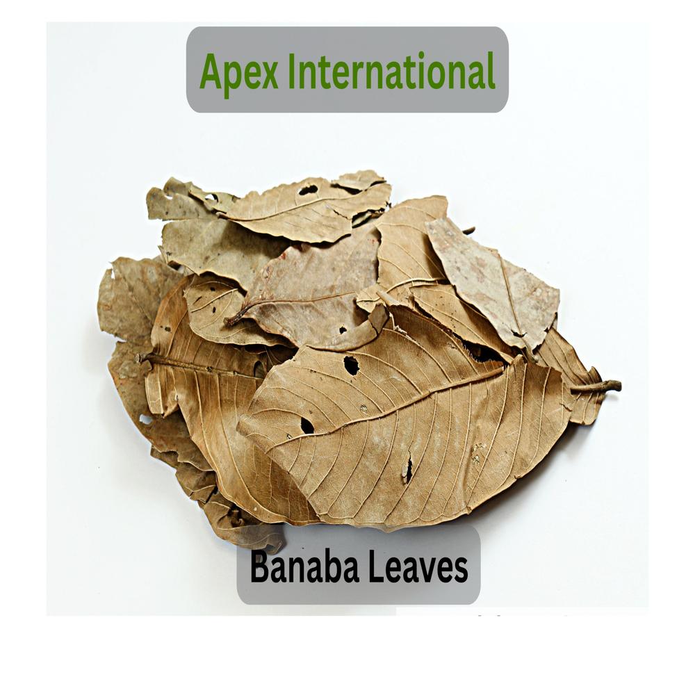 Banaba Leaves - Shelf Life: 24 Months