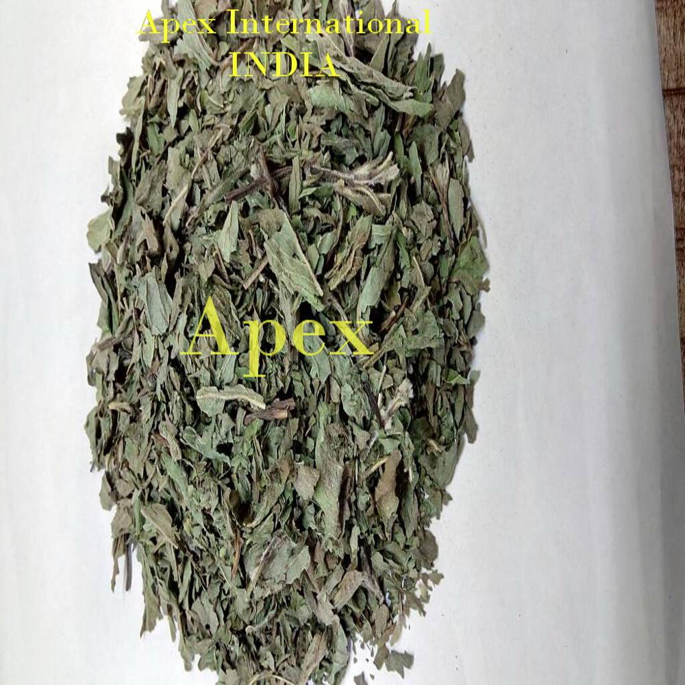 Mentha Arvensis Leaves