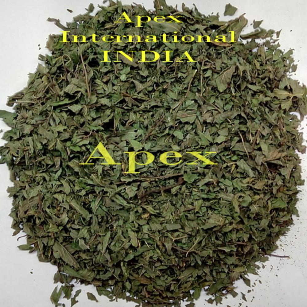 Spearmint Leaves - Color: Green