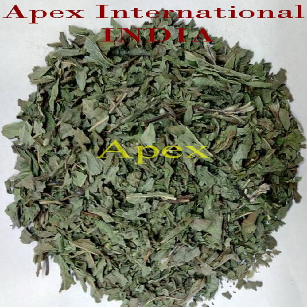 Dried Peppermint Leaves - Color: Green