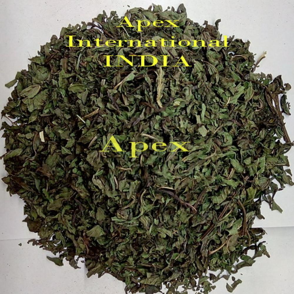 Dried Peppermint Leaves - Color: Green