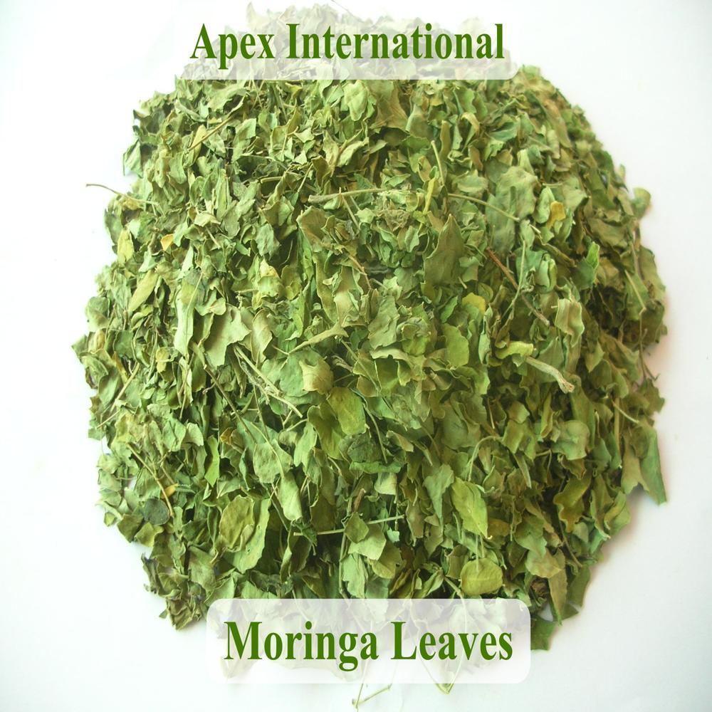 Moringa Leaves