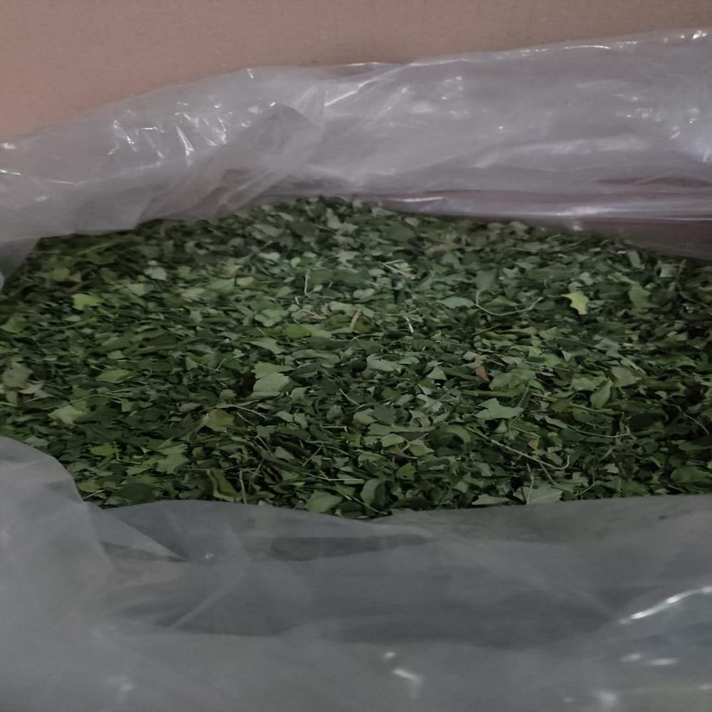Moringa Leaves