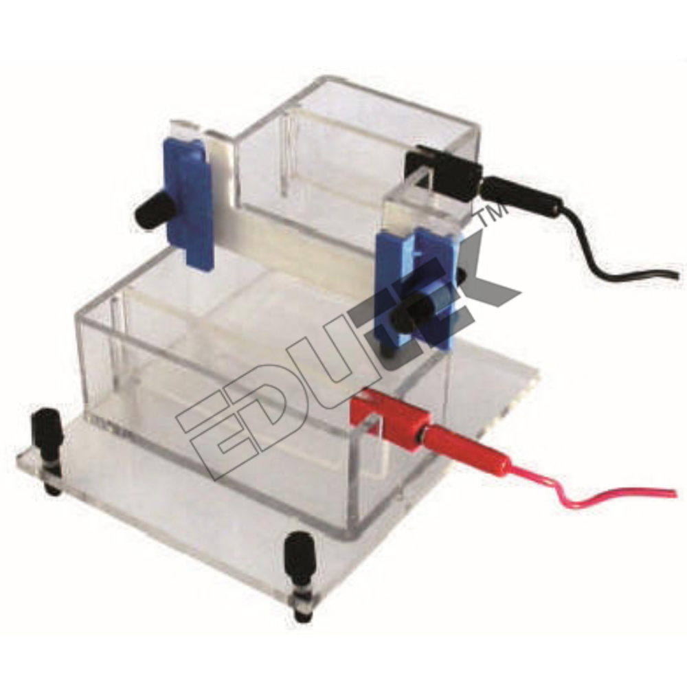Vertical Electrophoresis Apparatus