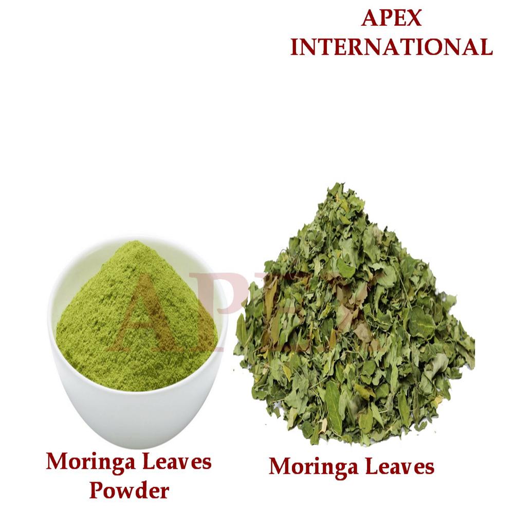 Moringa Leaves Powder - Color: Green