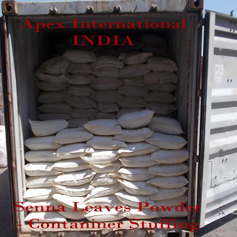 Moringa Leaves Powder - Color: Green