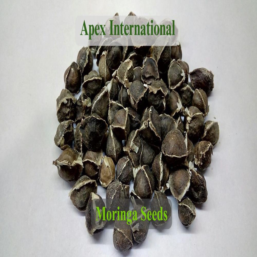 Moringa Seeds . - Color: Black
