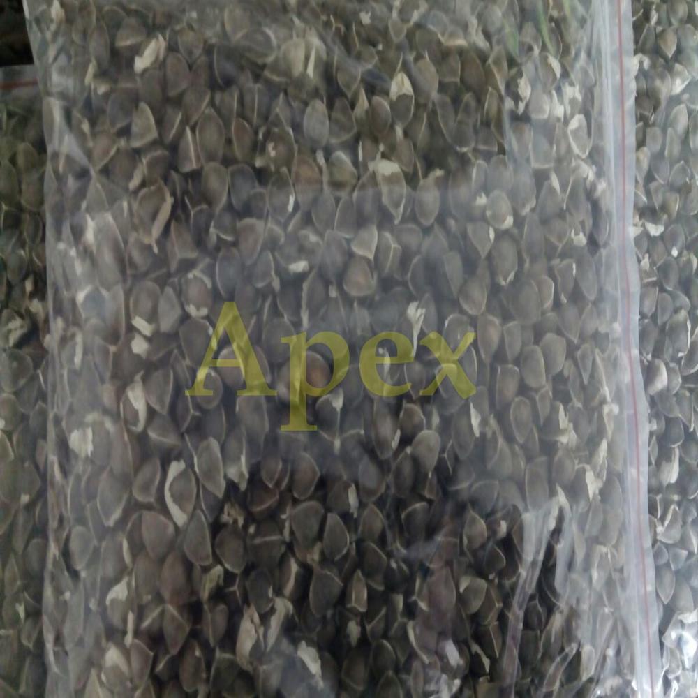 Moringa Seeds . - Color: Black