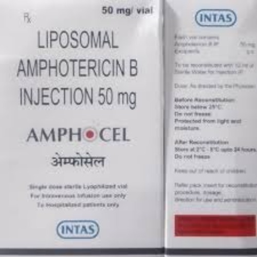 Amphocel 50 mg Injection