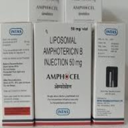 Amphocel 50 Mg Injection - Physical Form: Liquid