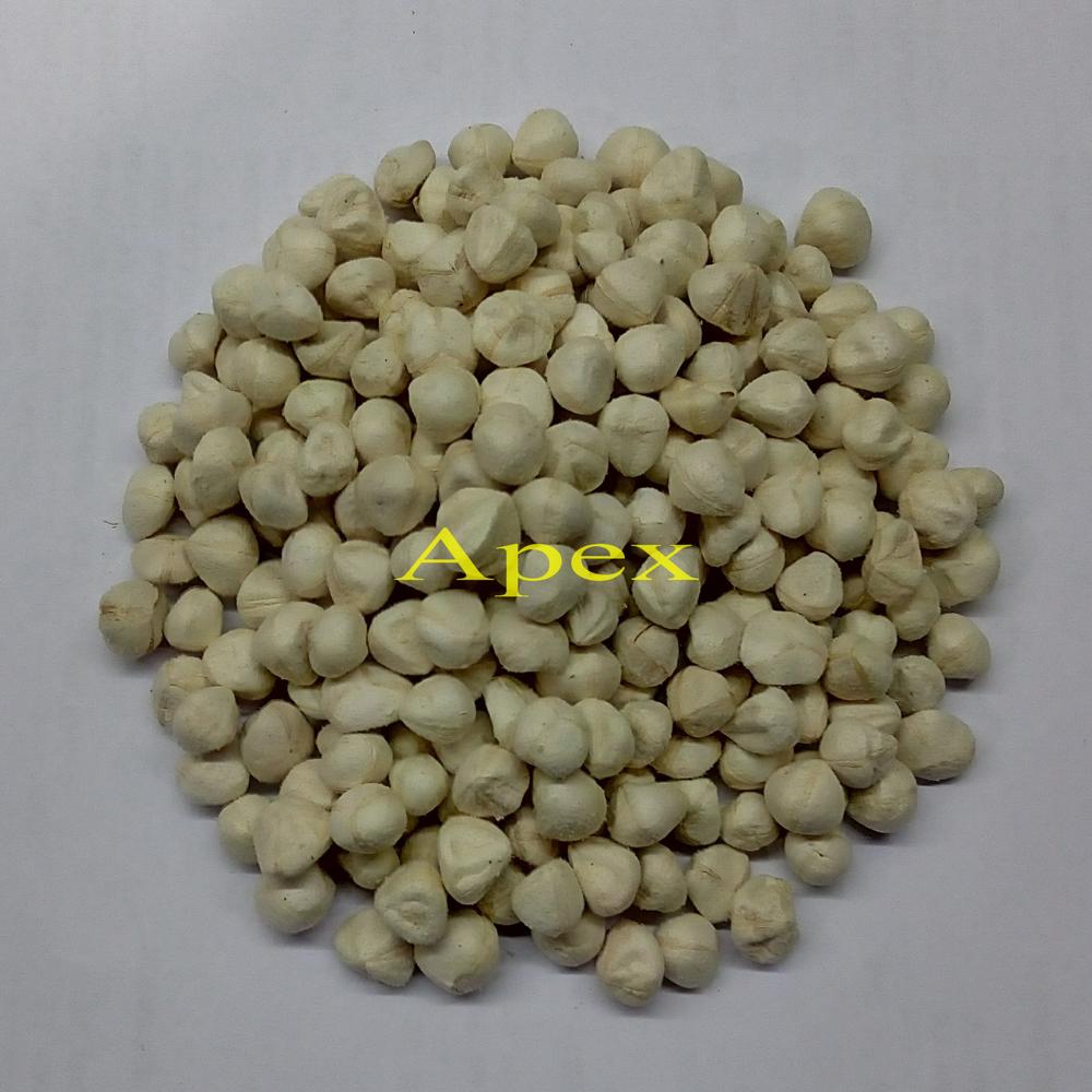 Moringa Seed Kernels - Color: White