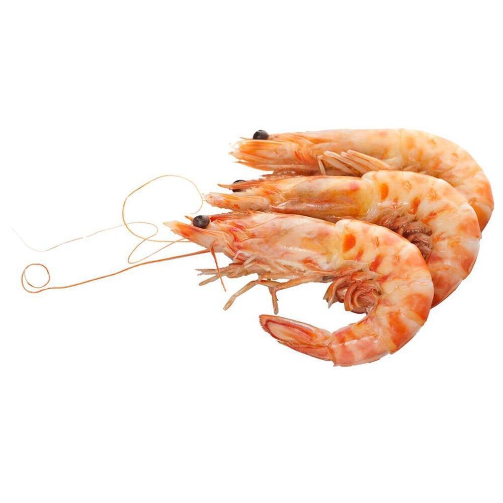 Fresh Water Shrimps - Shape: Piece