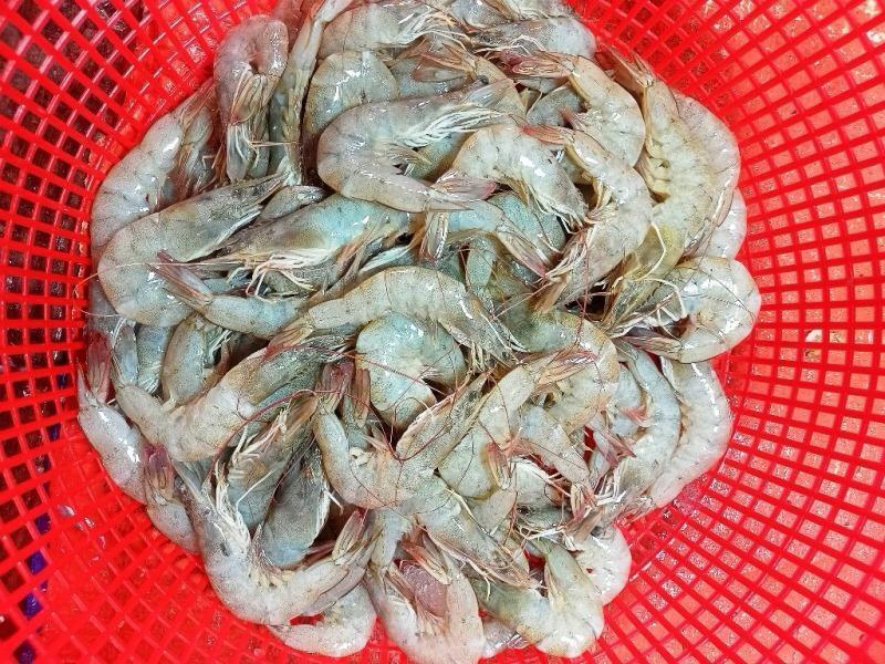 Fresh Water Shrimps - Shape: Piece