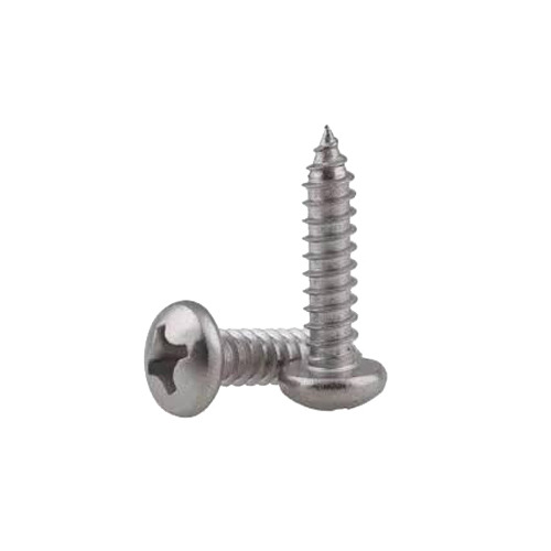 Phillips Head Screw - Color: Silver