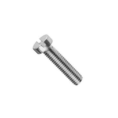 Slotted Head Screw - Color: Silver