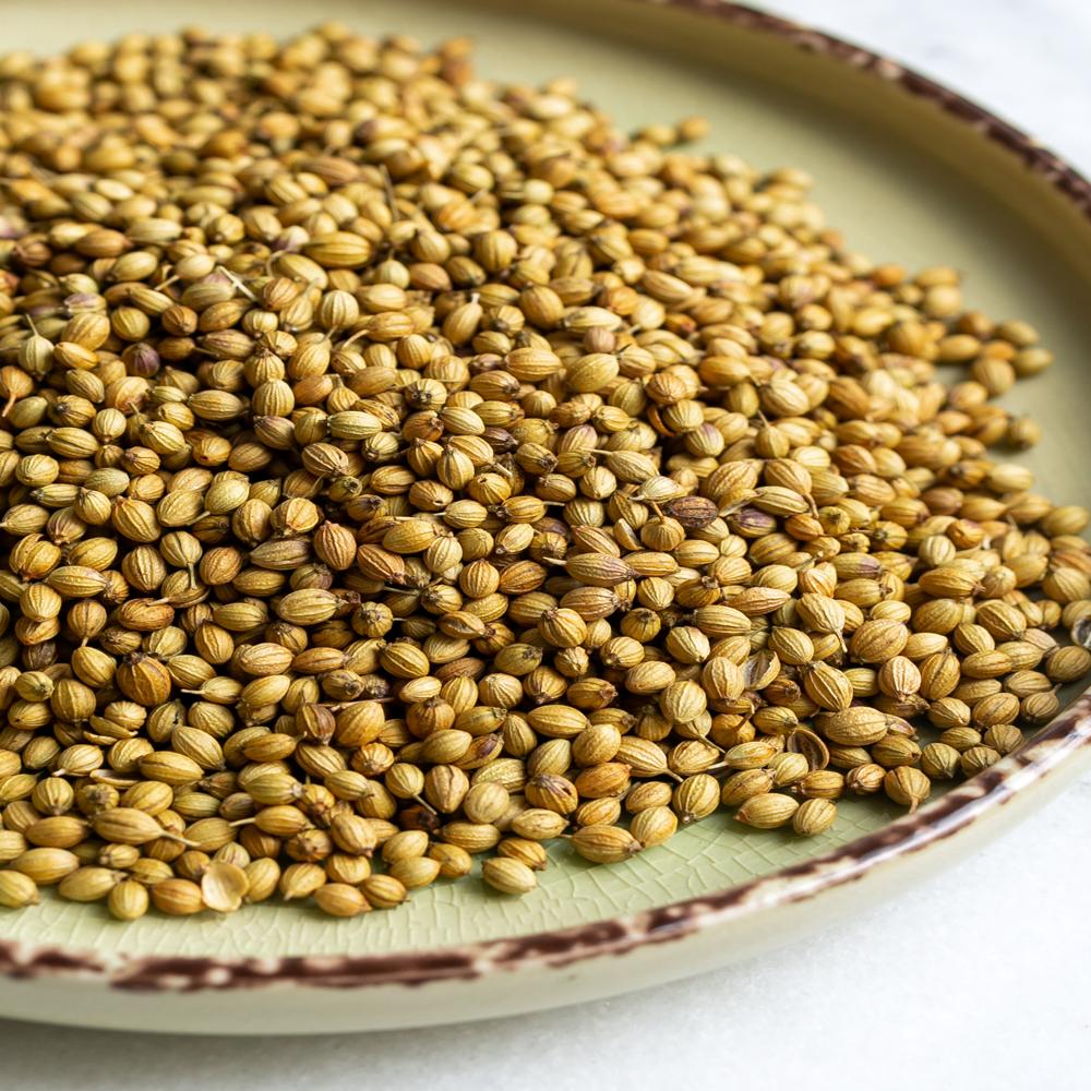 Fresh And Dried Coriander Seeds
