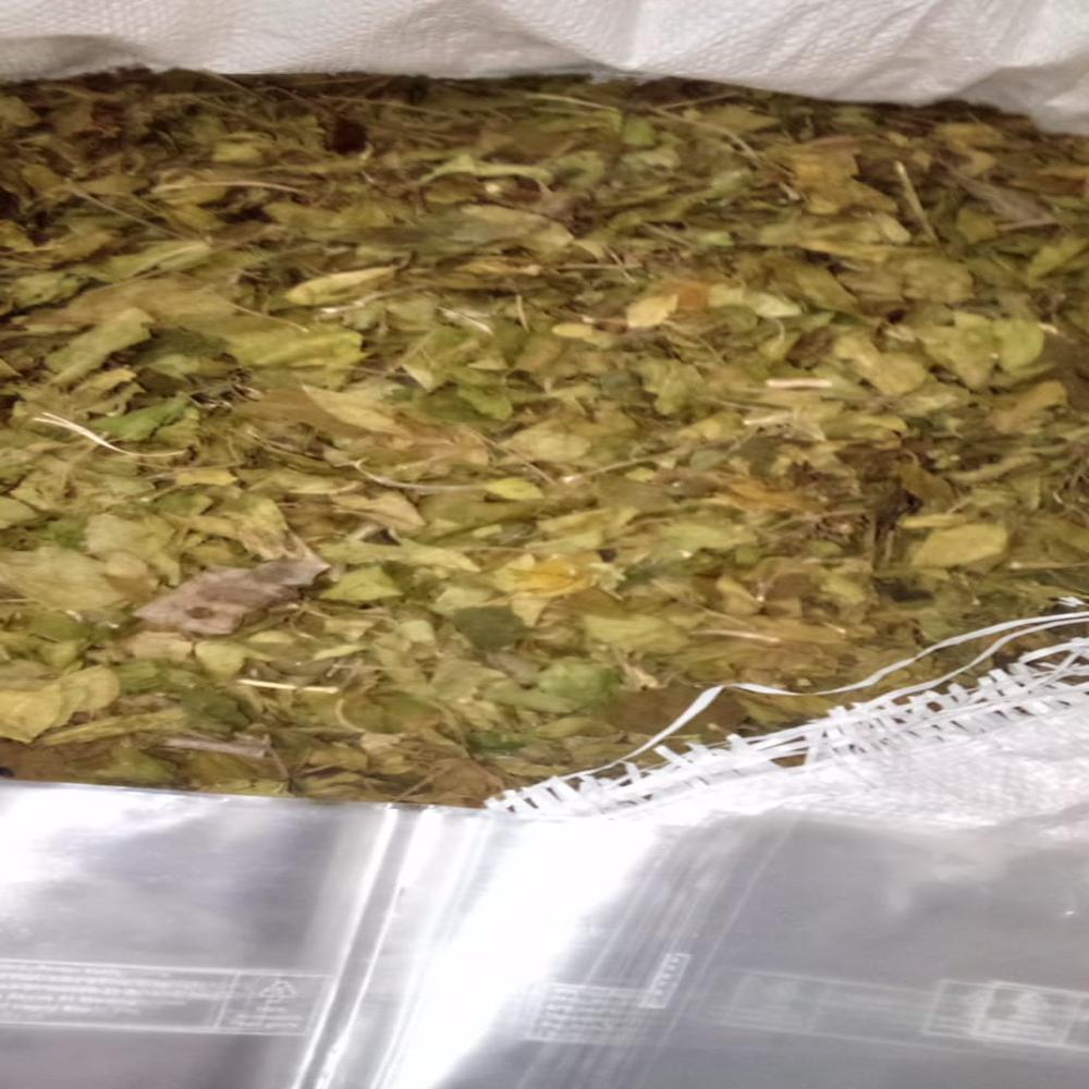 Gymnema Sylvestre Leaves