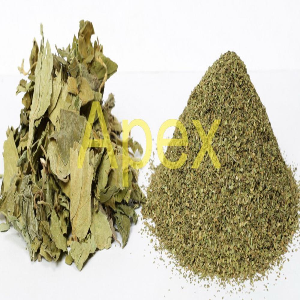 Gymnema Leaves T Cut