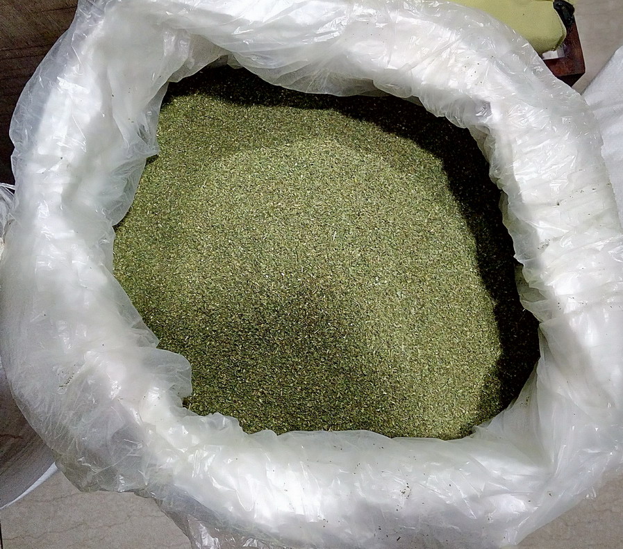 Gymnema Leaves T Cut