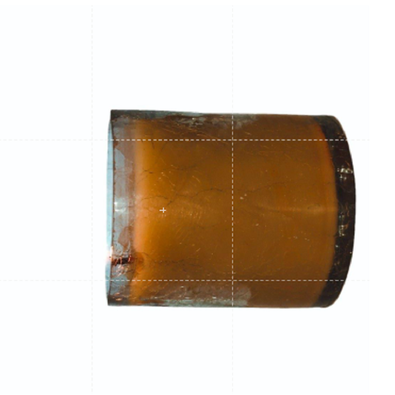 Fish Gold Plating Caviar Dish - Color: Various Available