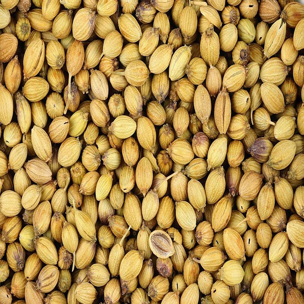 Best Quality Pure Organic Coriander Seeds