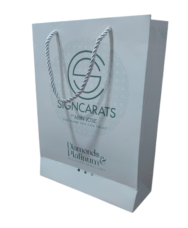 High Grade Paper Shopping Bag - Load Capacity: 5 Kilograms (Kg)