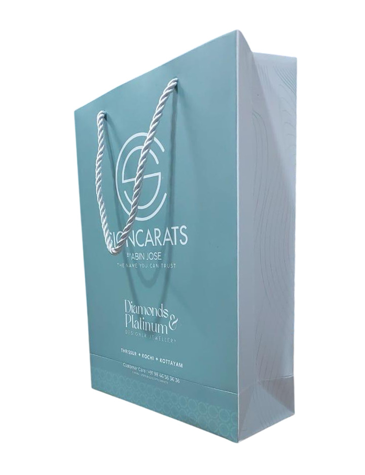 High Grade Paper Shopping Bag - Load Capacity: 5 Kilograms (Kg)