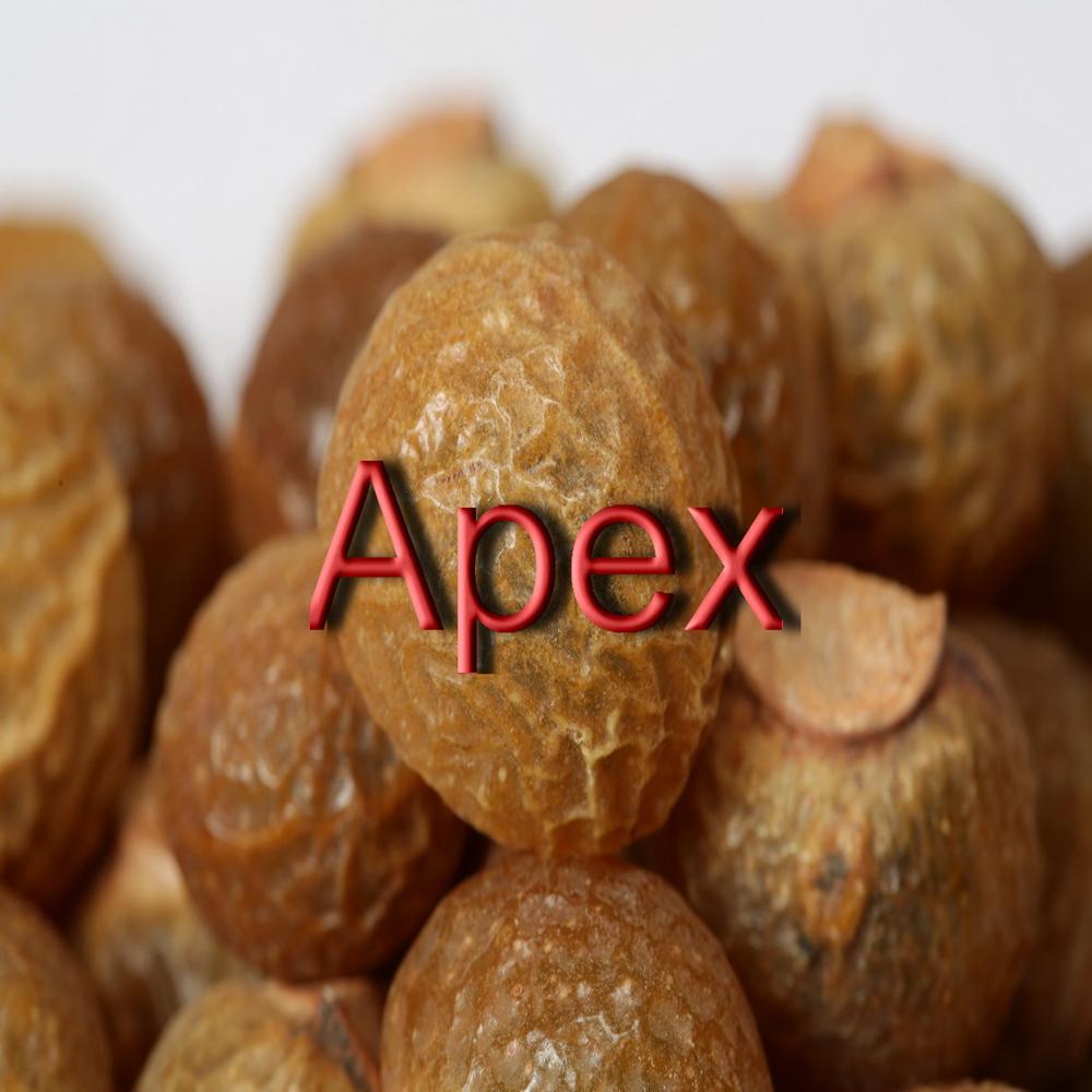 Soap Nut - Color: Light Brown
