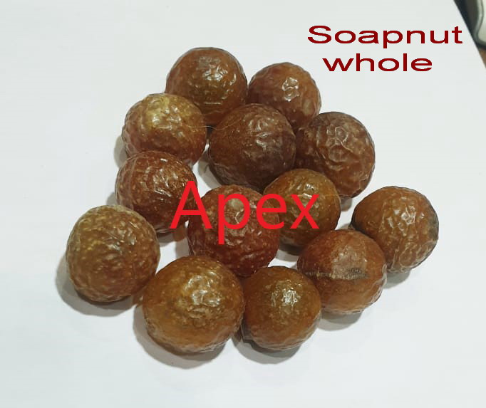 Soap Nut - Color: Light Brown