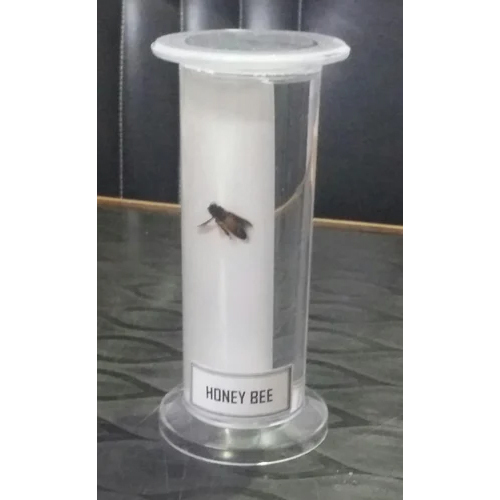 Acrylic Specimen Jar