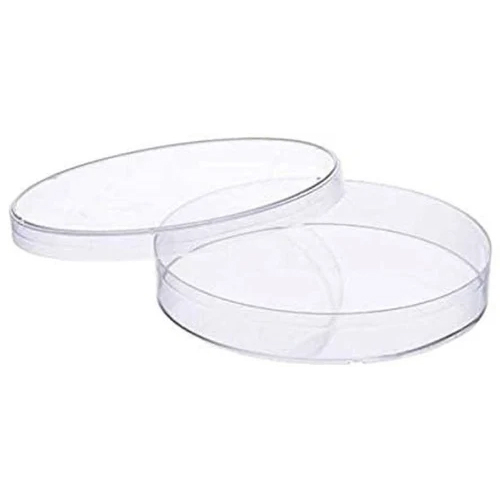 Culture Petri Dish