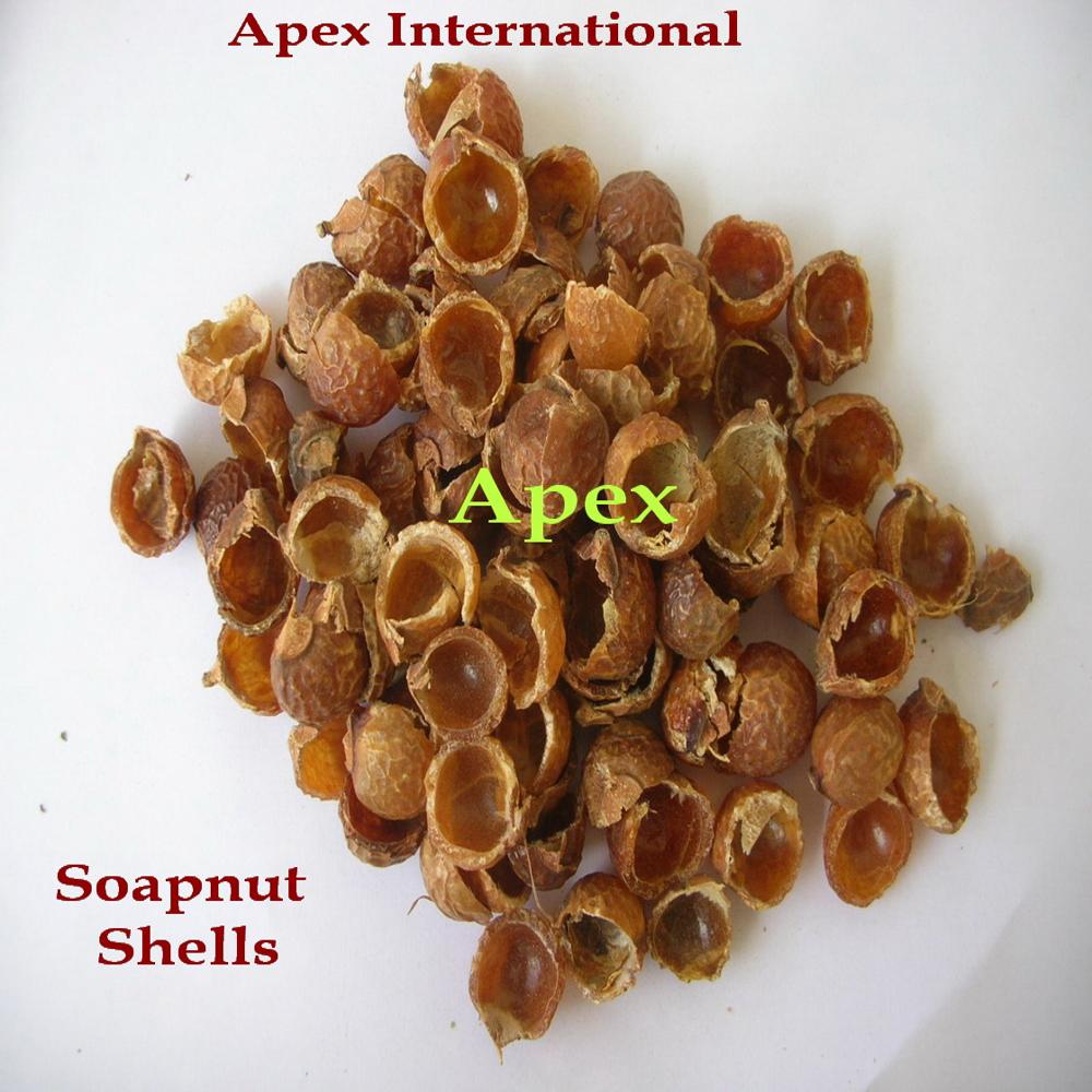 Seedless Soap Nuts - Color: Light Brown
