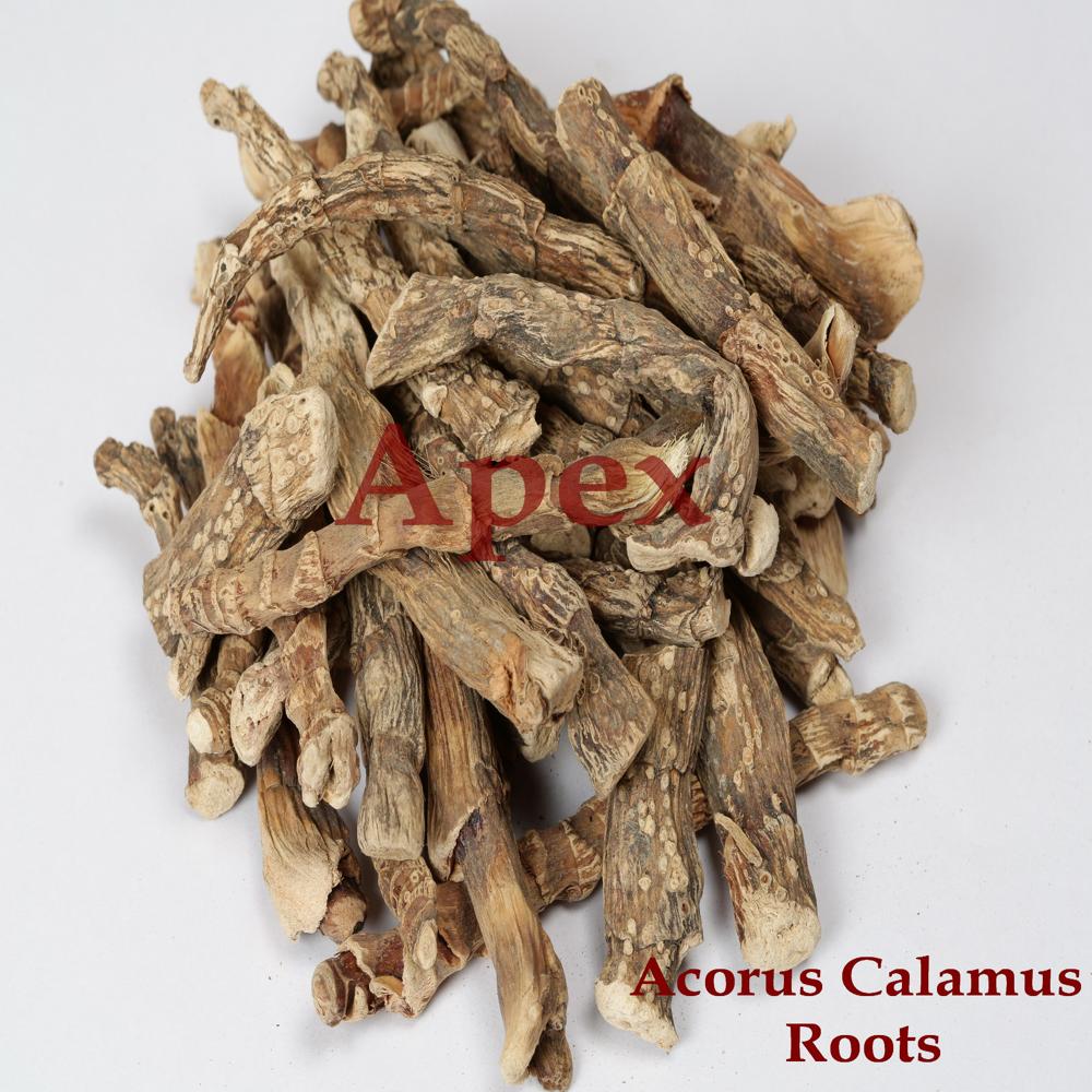 Acorus Calamus Roots - Shelf Life: 24 Months