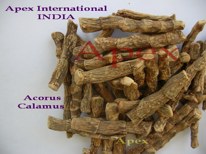 Acorus Calamus Roots