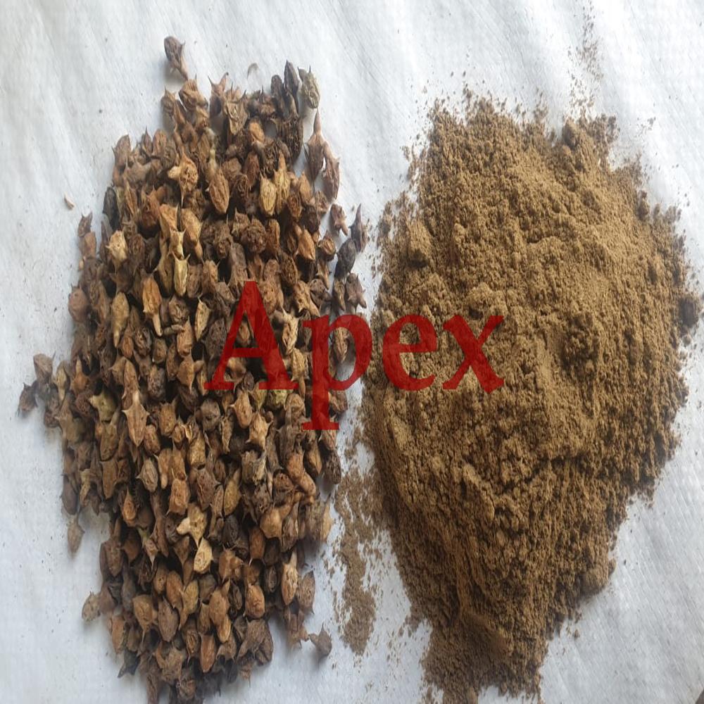 Gokhru Tribulus Terrestris