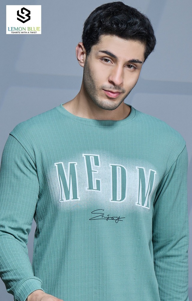 Mens Sky Blue  Full Sleeve With Puff Print T-Shirt