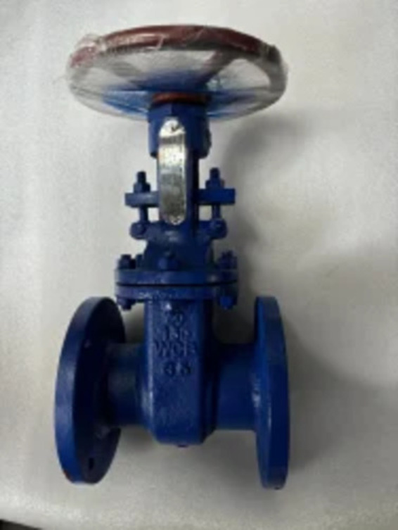 Gate Valve