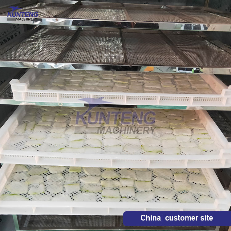 Fruit Drying Equipment