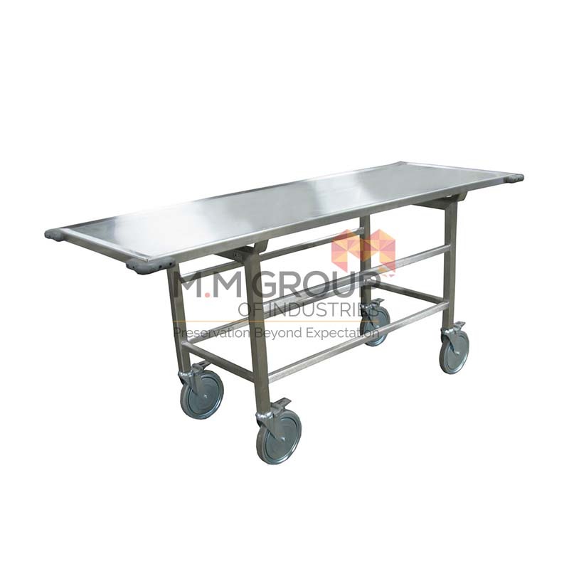 Stainless Cadaver - Color: Silver