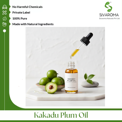 Kakadu Plum Oil