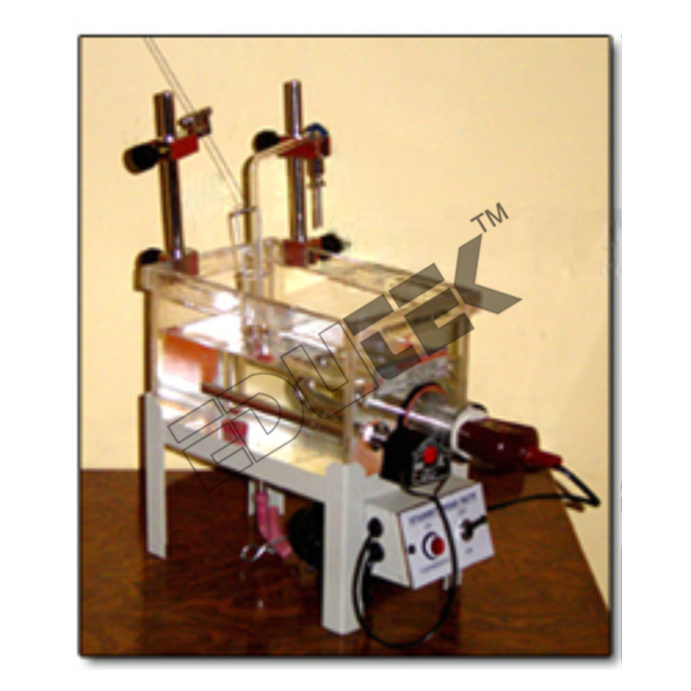 Student Organ Bath - Perspex Material, 8"x4"x5" Size | Thermostatic Temperature Control, Dovetailed Joints, Metal Frame, Accessories Included