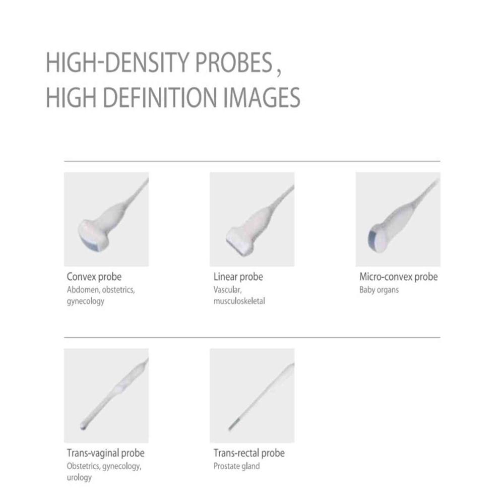 2d Ultrasound Model Dawei Model Dw-580 - Attributes: Strong & Durable