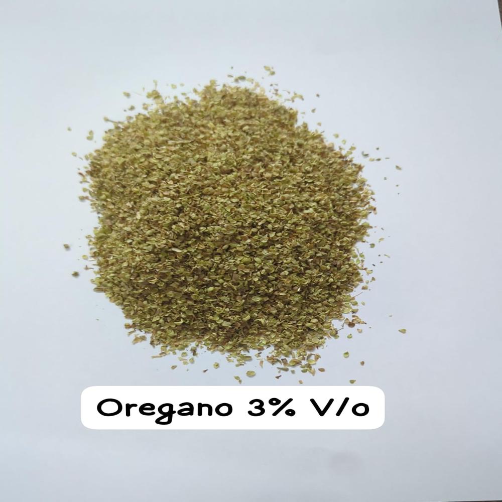Premium Oregano Leaves