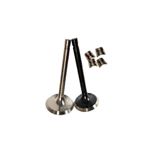 Ig6509 Valve Set (Set Of 6 Pc) - Finish: Polished