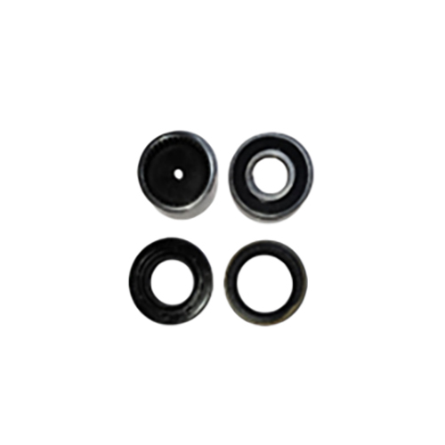 Rear Axle Bearing Kit - Finish: Polished